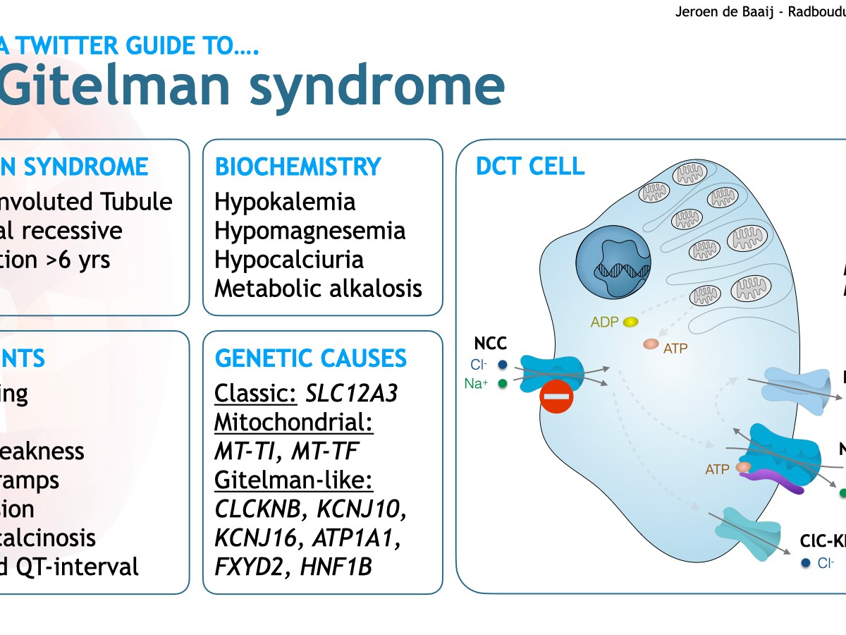 Gitelman Syndrome