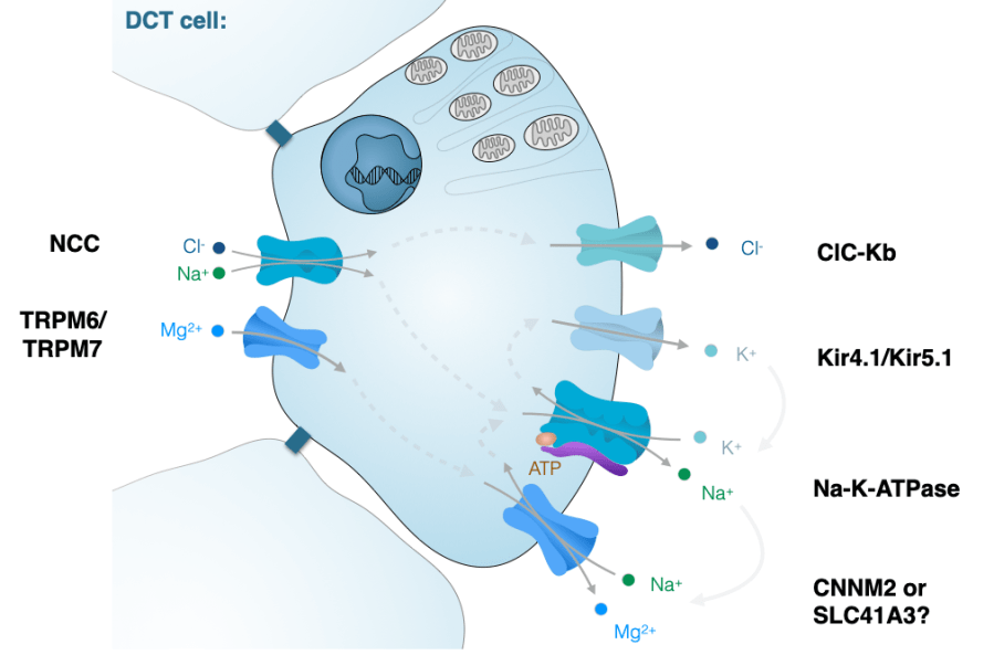 Schermafbeelding 2023-01-05 om 14.09.19