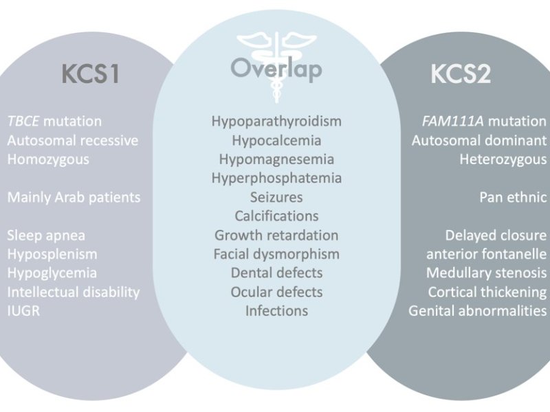 Expanding the Phenotypic Spectrum of Kenny-Caffey Syndrome