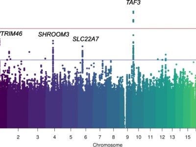 Genome-wide association study of serum magnesium in type 2 diabetes
