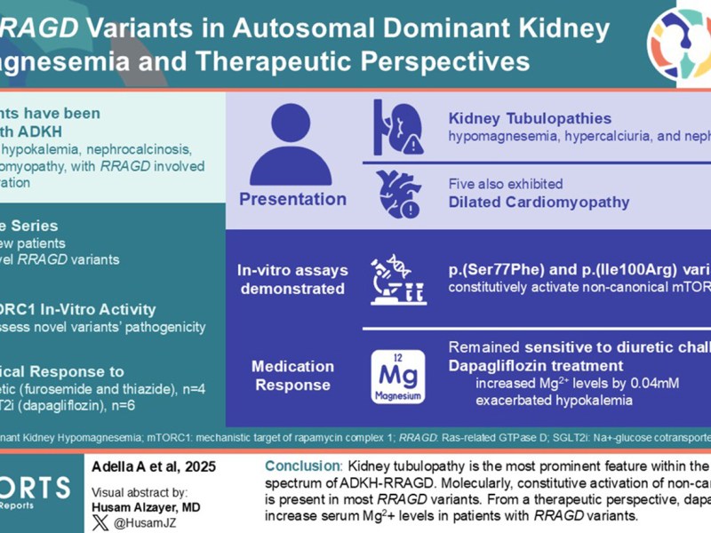 Novel RRAGD Variants in Autosomal Dominant Kidney Hypomagnesemia and Therapeutic Perspectives